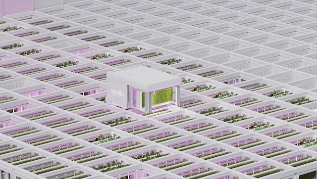 AutoStore OnePointOne robotic vertical farm taps automated cubic storage, supplying Whole Foods Market stores