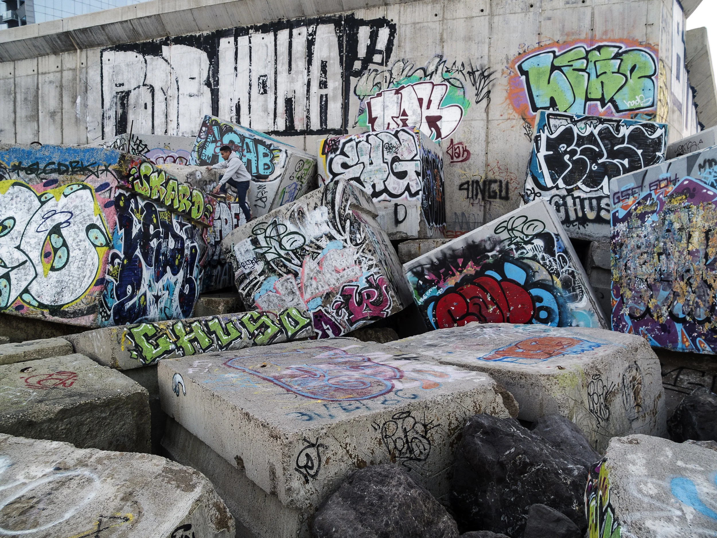 DSCF7379.jpg