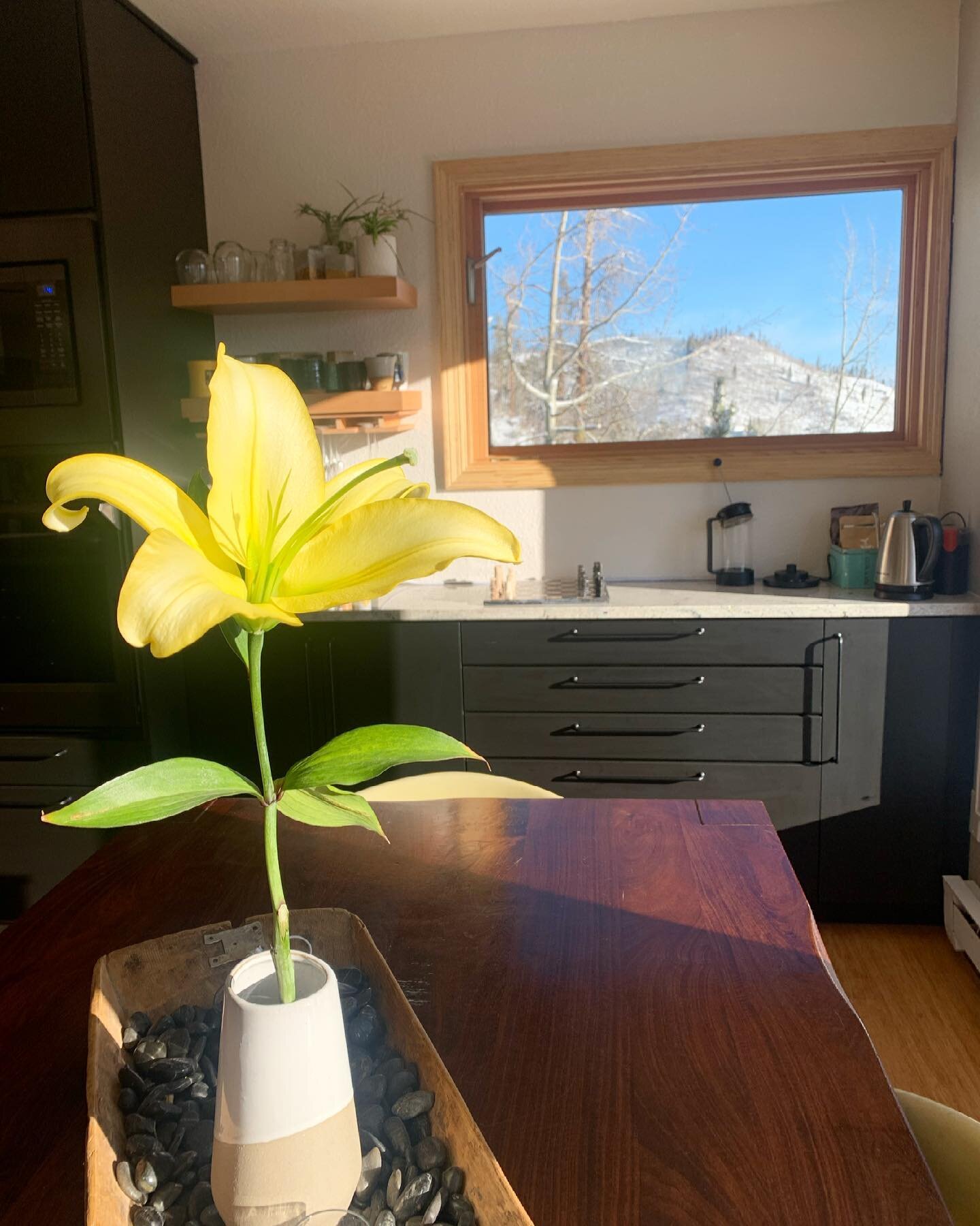 daylilies remind me of home. I remember waking to the sounds of my mom coming in from her sunrise garden routine, the smell of spring on her hands. I didn&rsquo;t realize until much later that her 110+ daylilies, each with their own name plate and sp