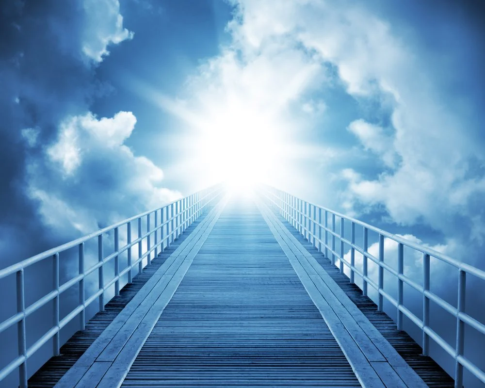 【业果 KARMA】了解业果很害怕怎么办？What to do if you are frightened after understanding karma and its effect?