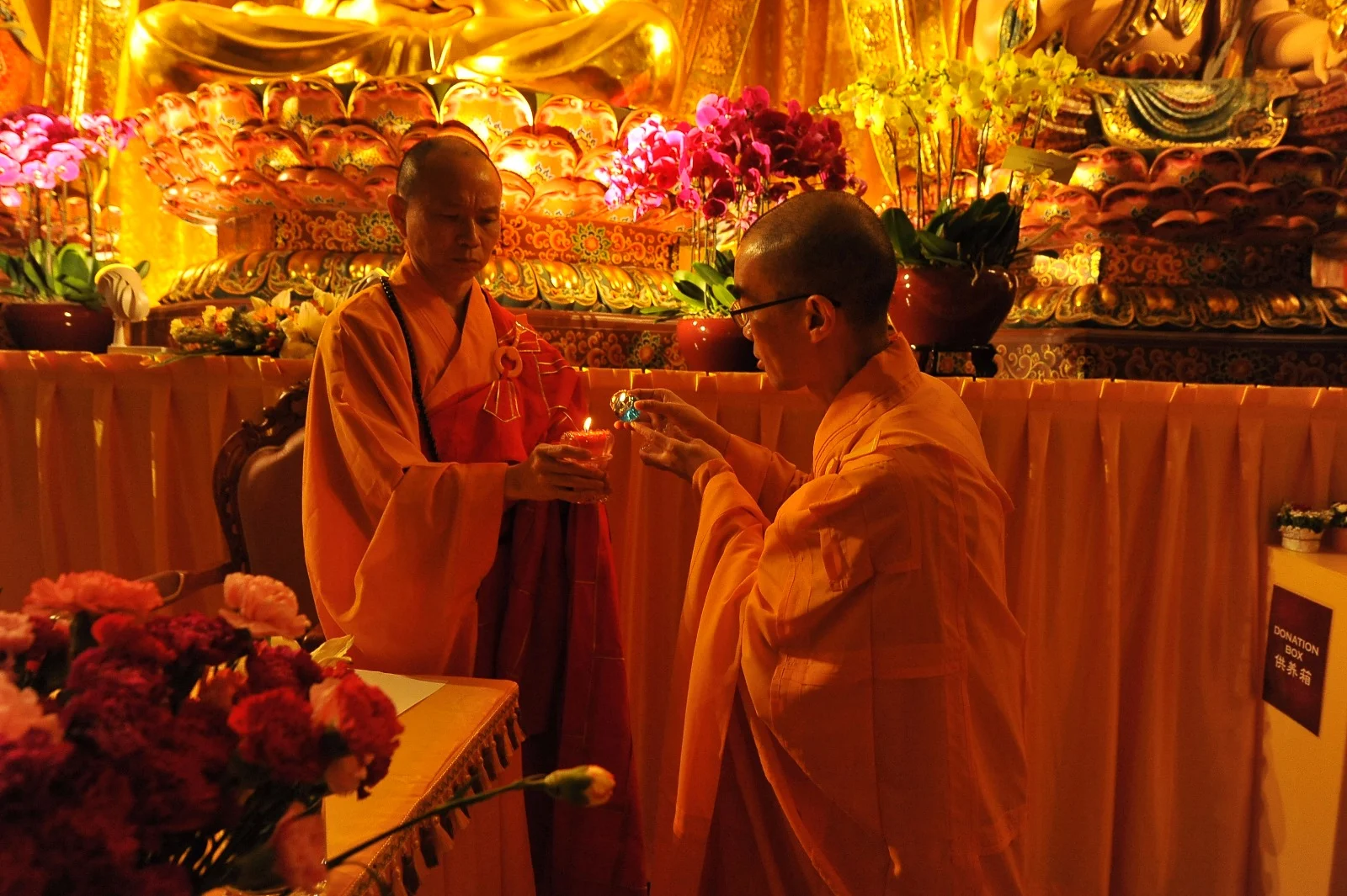 WhatsApp Image 2017-08-16 at 11.14.12.jpeg