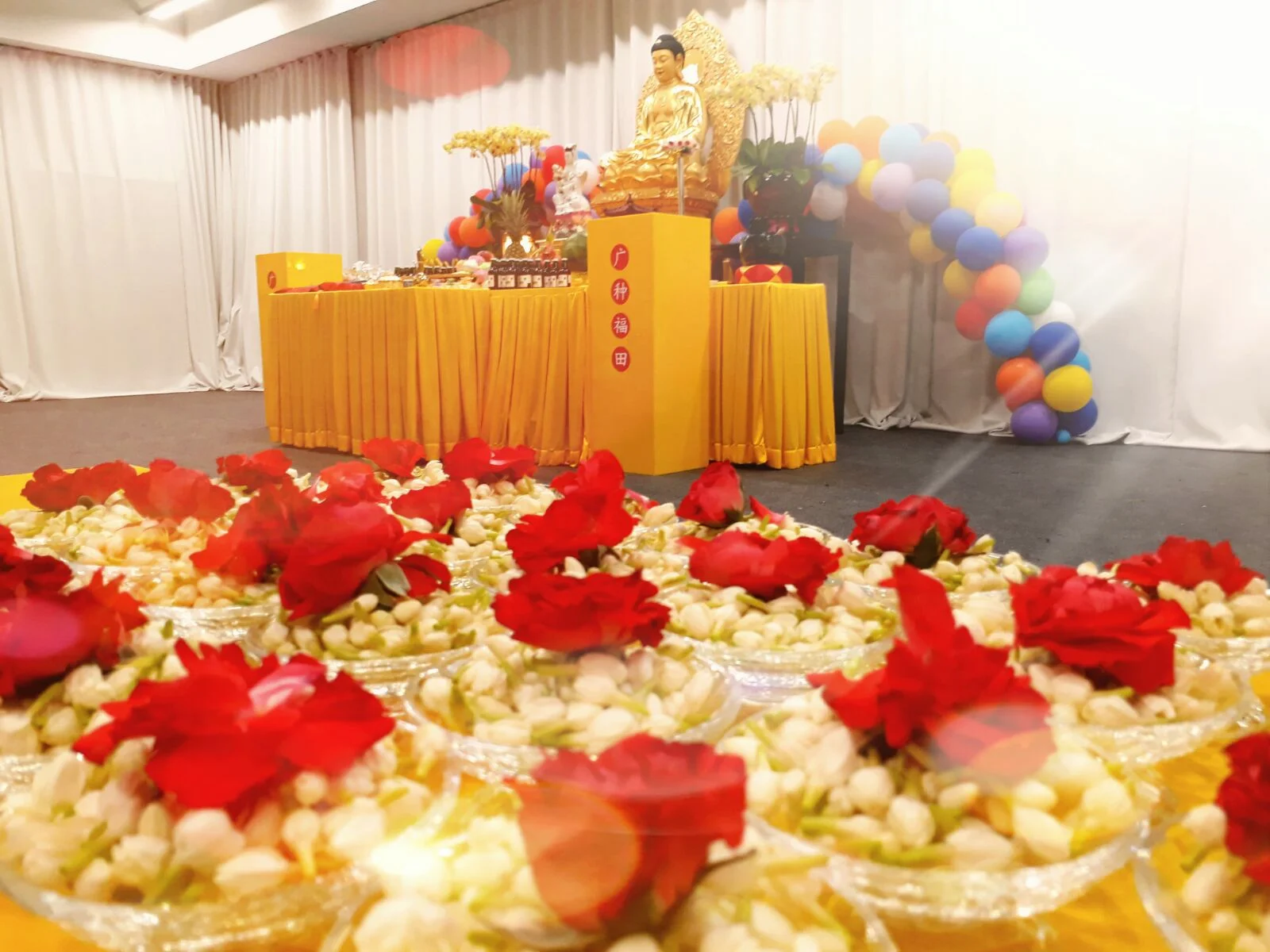 WhatsApp Image 2017-09-16 at 13.59.27.jpeg