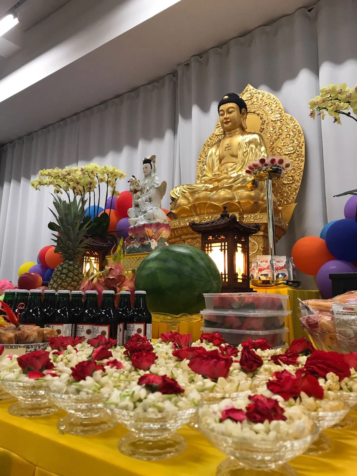 WhatsApp Image 2017-09-16 at 15.17.30.jpeg