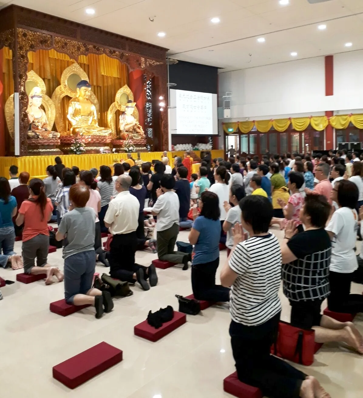 WhatsApp Image 2017-10-02 at 9.19.56 PM.jpeg