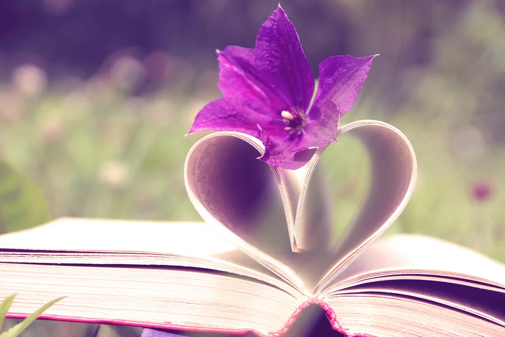 【依师 Relying on the Teacher】不要评头论足 do not criticize others from head to toe