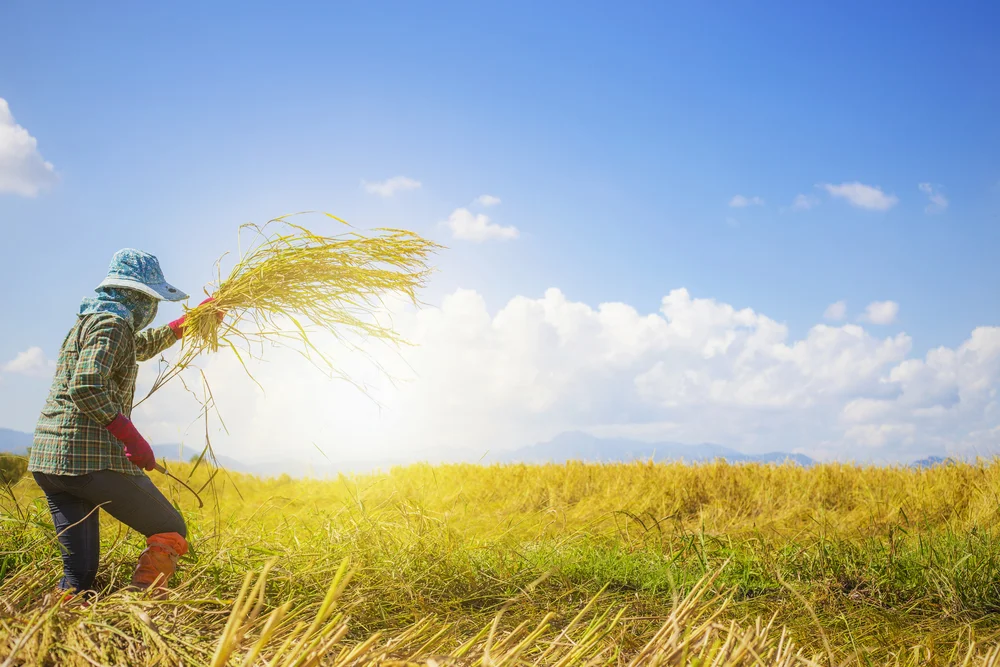 【依师 Relying on the Teacher 】末法了，赶快努力 It’s Dharma degeneration time, we have to work harder