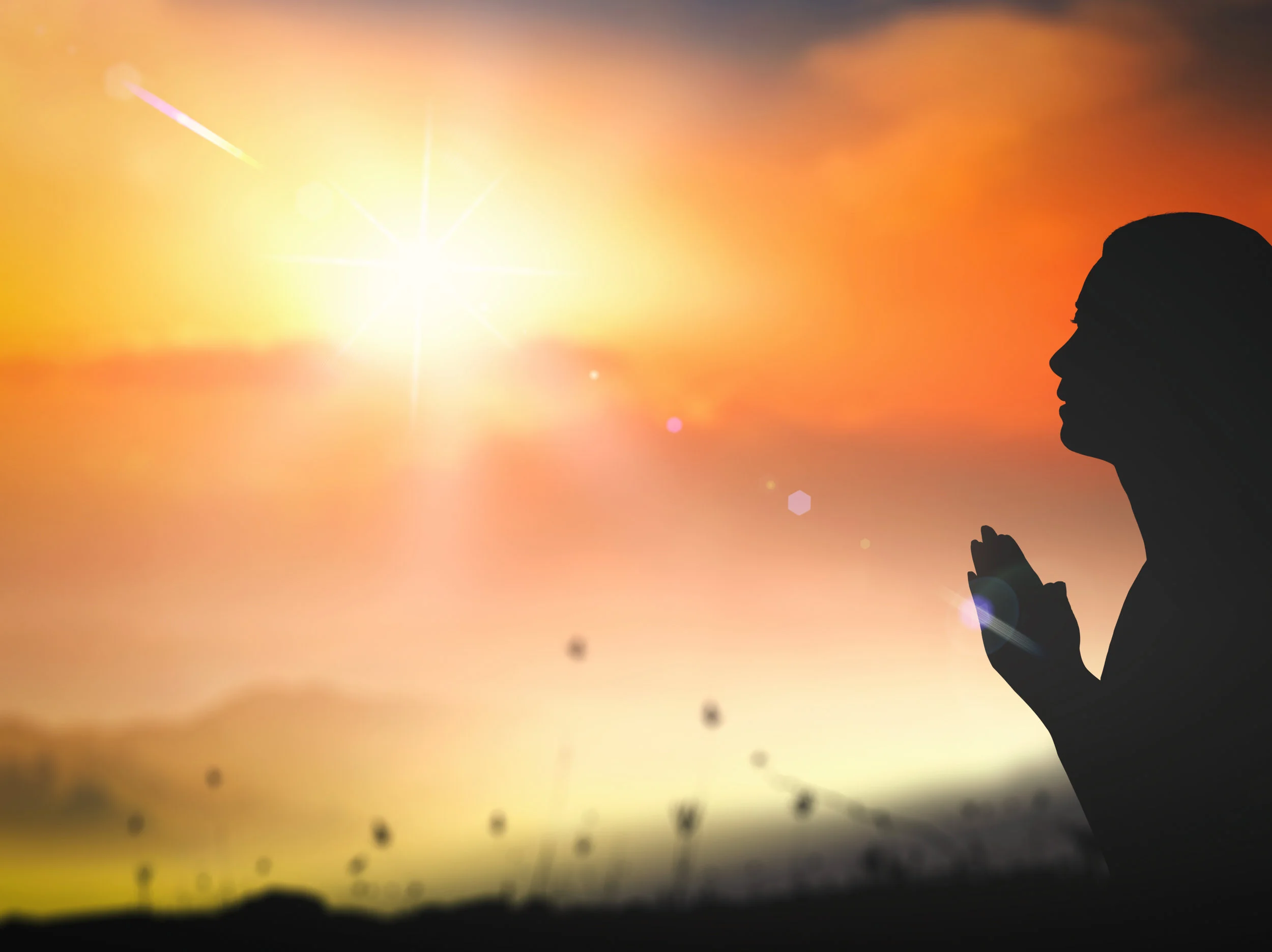 【皈依Taking Refuge】面对佛像的心态 The mindset we should have when we see the Buddha’s image