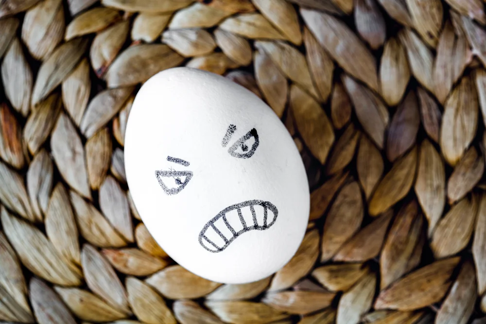 【皈依 Precepts of  Refuge】遮止讥毁 To stop the act of destroying