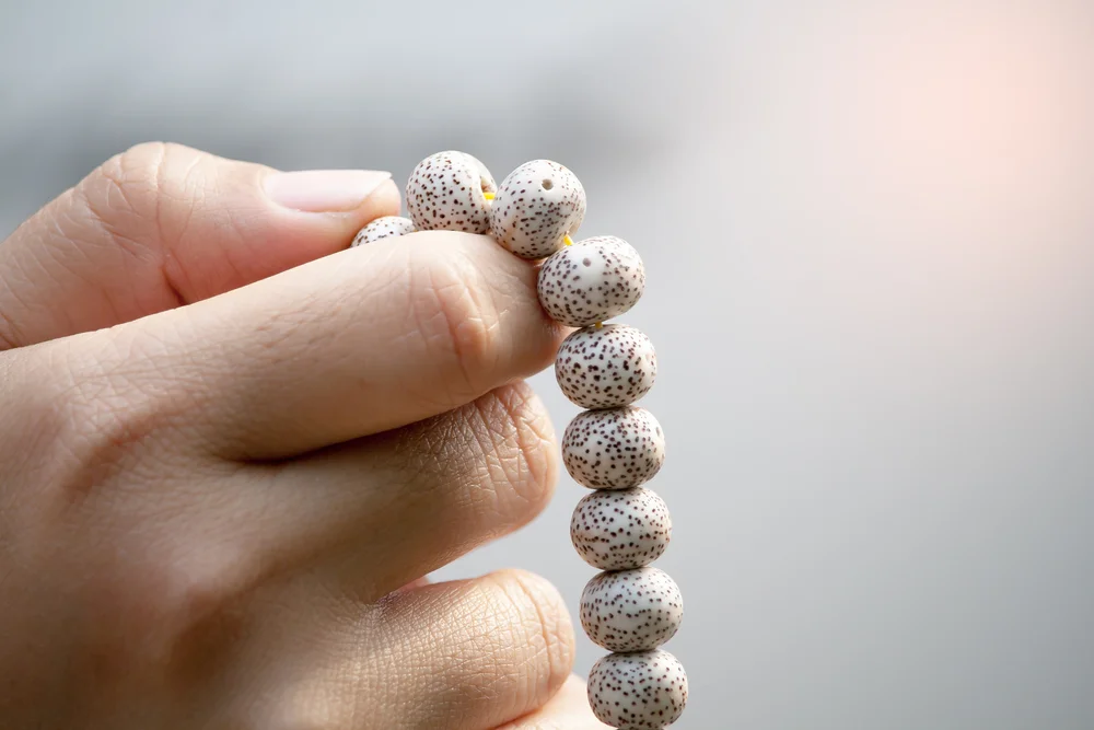 【皈依 The Precepts of Refuge】恭敬法宝 Respect the teaching jewel  