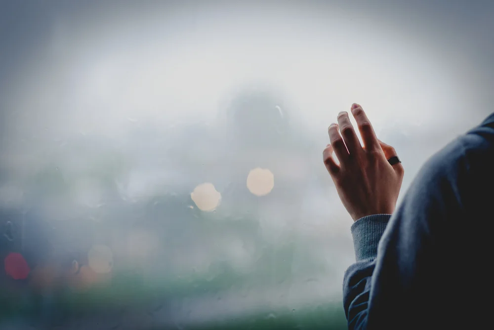 【皈依 The Precepts of Refuge】 骄慢是放逸的根本 Arrogance is the root to unruliness 