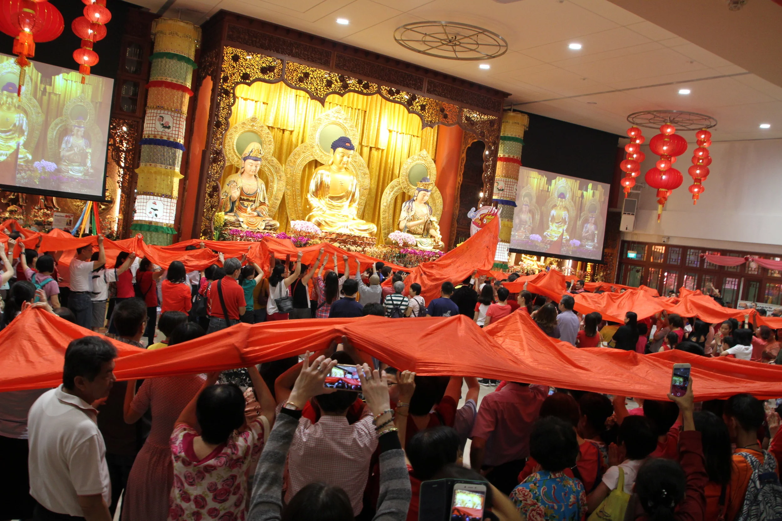 画龙点睛 祥龙飞舞迎新春