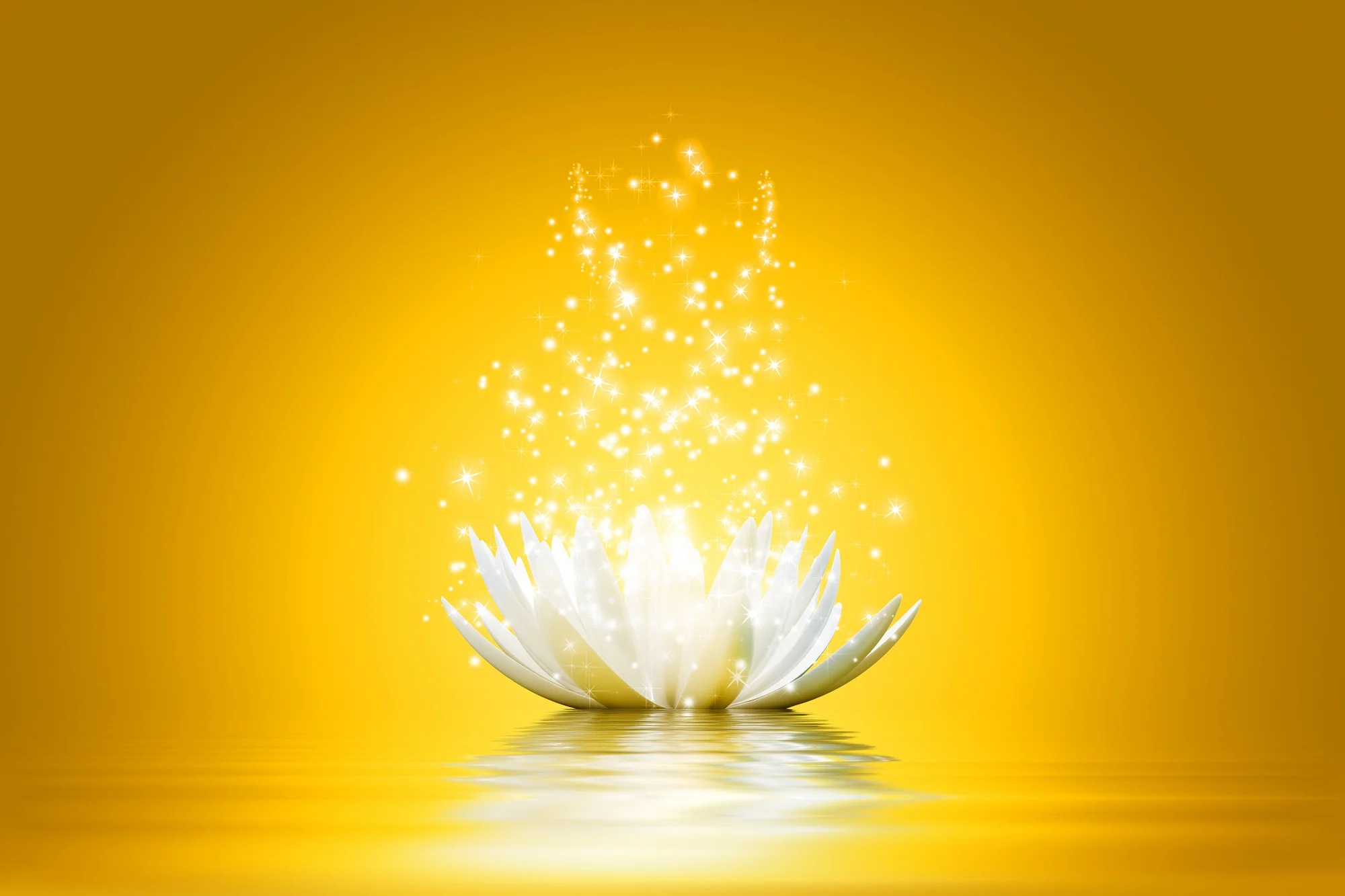 【业果 The Varieties of Karma】与法相应 In concordance with the Teachings