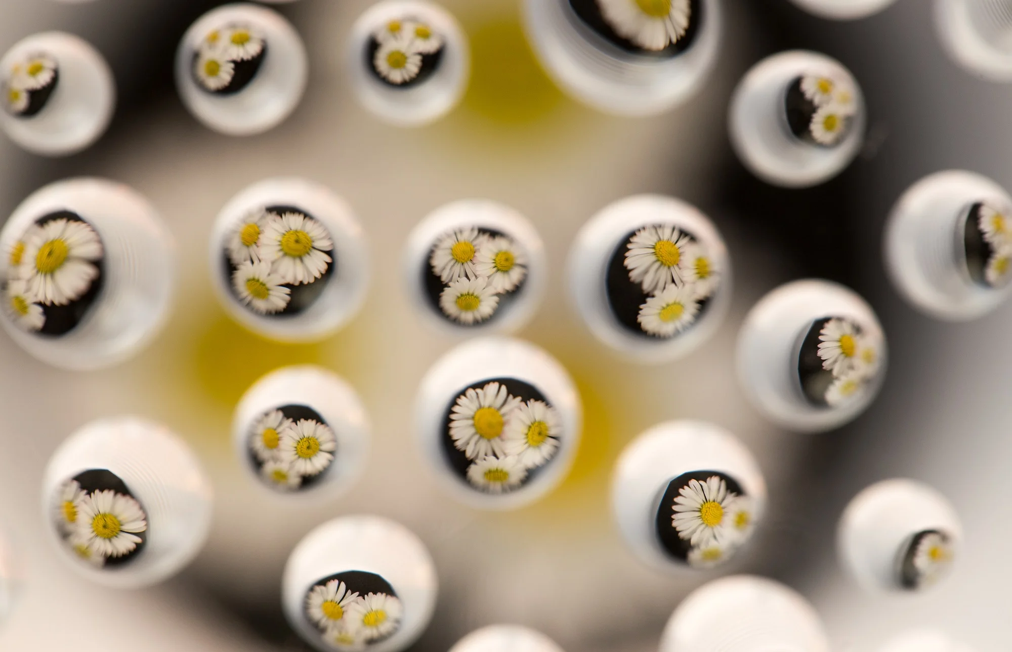 【业果 The Varieties of Karma】会说话的两头瞒 Detrimental information between two parties is withheld by those who know how to speak.