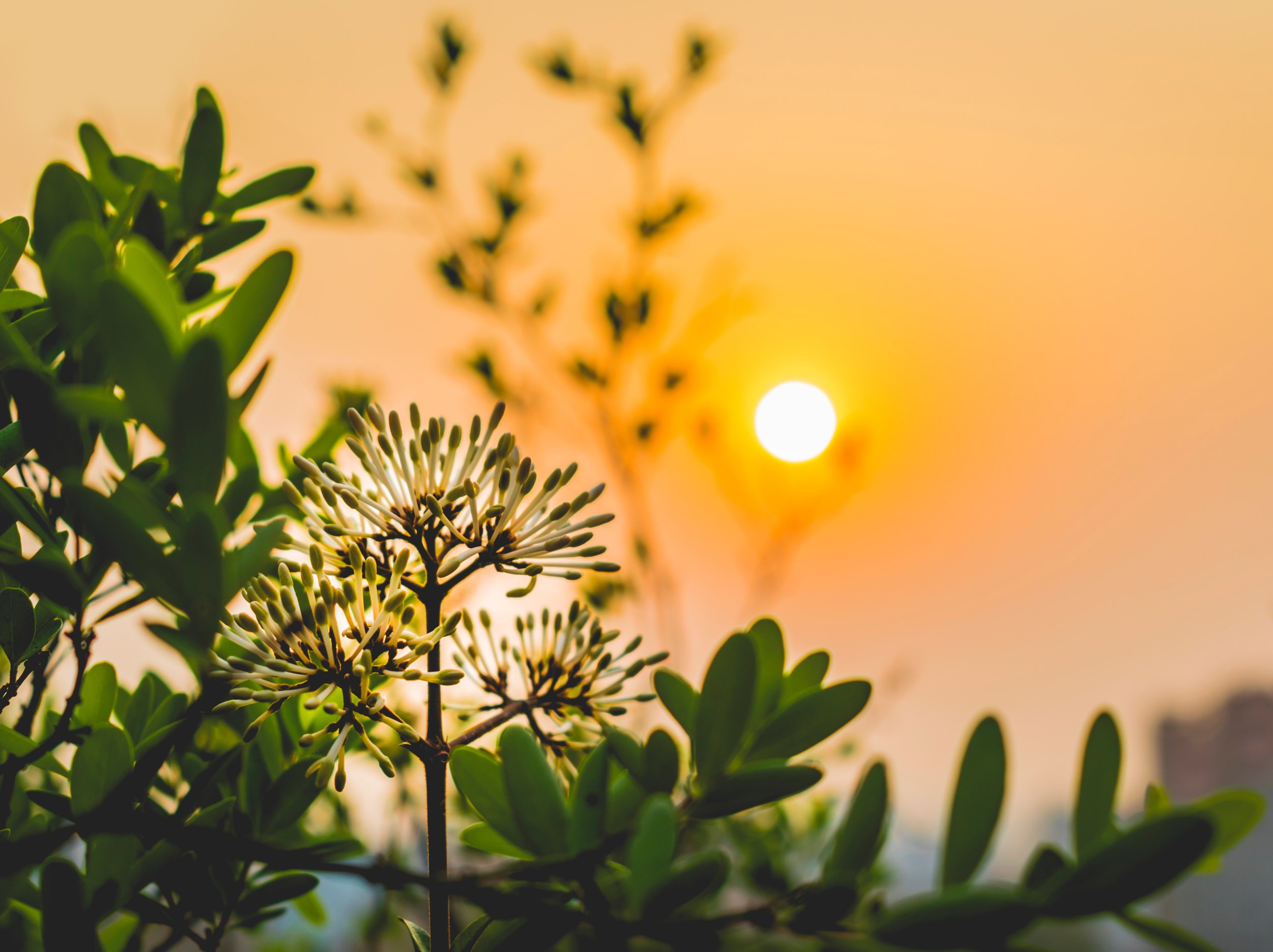 【业果 The Varieties of Karma】 什么叫做修行？What is meditation?