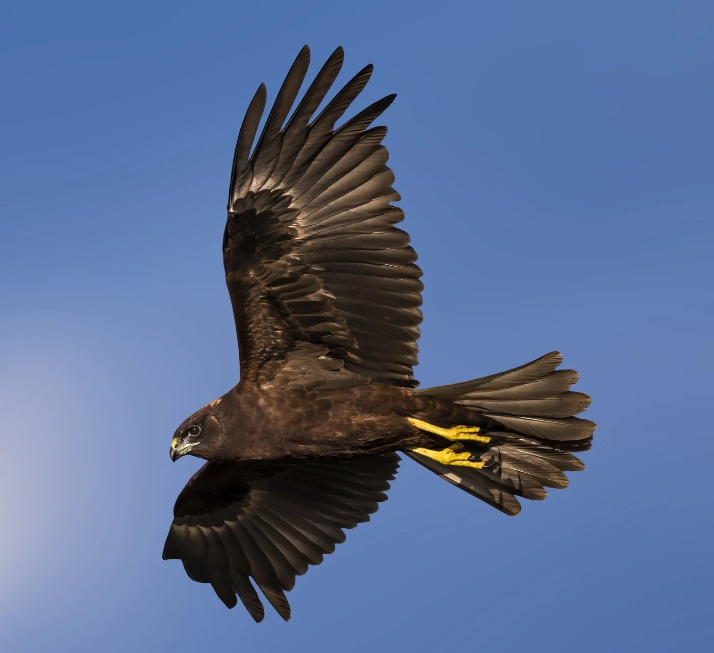 Venerable Jing Yuan:Prime Opportunities   净远法师:最好机会