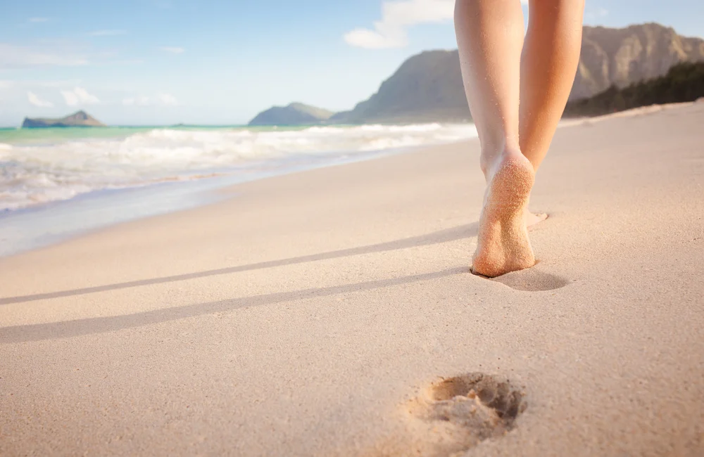 Venerable Jing Yuan:The Point is to Persist  净远法师:重点是继续走