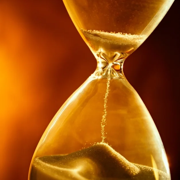 Venerable Jing Yuan:Mountain of Gold  净远法师:金山