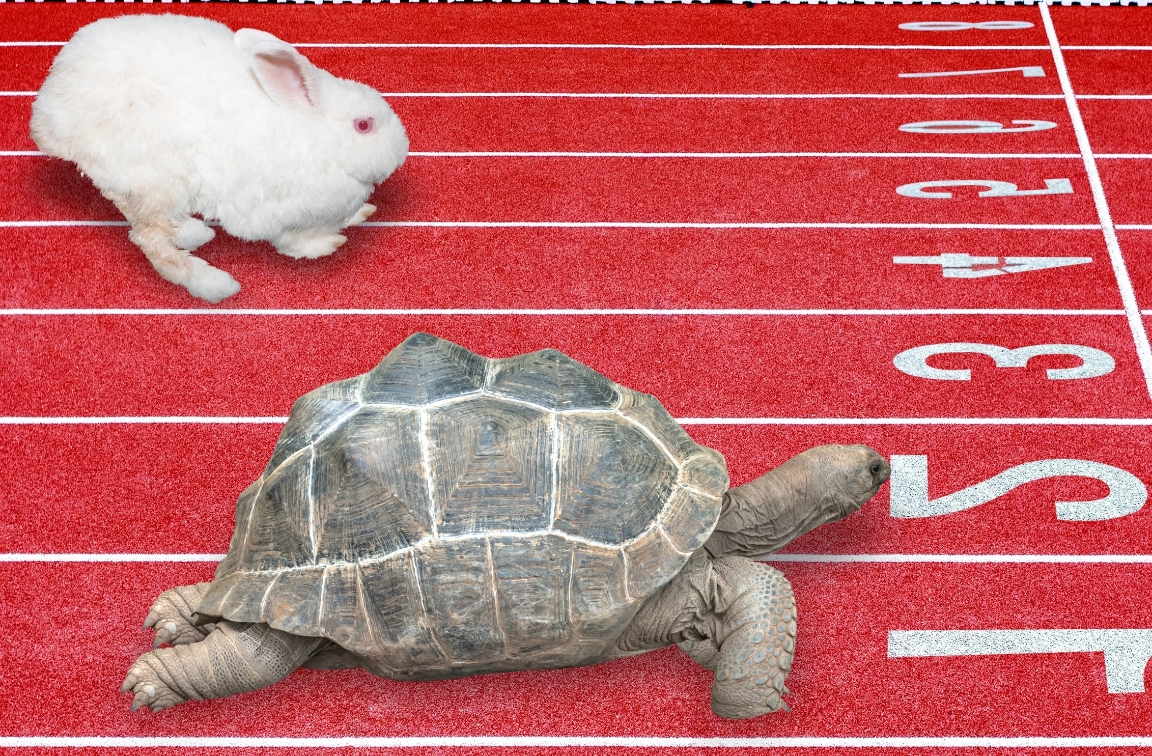 Venerable Jing Yuan:Being Praised    净远法师:被称赞