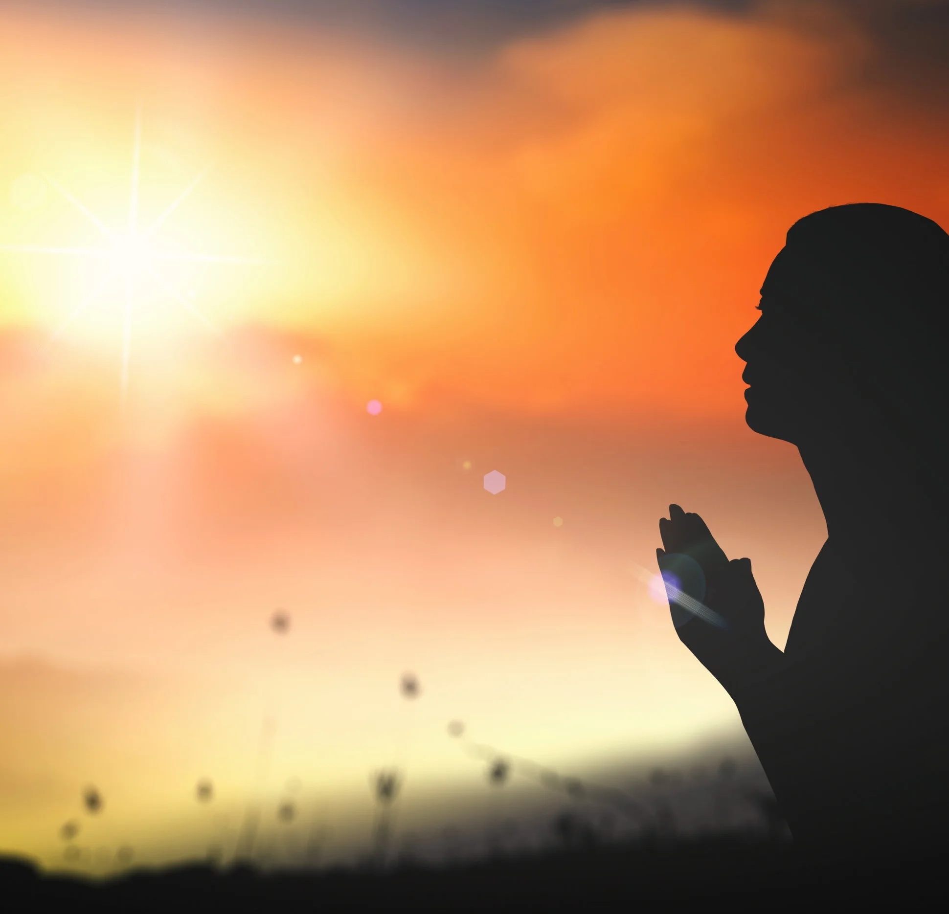 Venerable Jing Yuan:Acting with Bodhicitta   净远法师:利益众生的发心