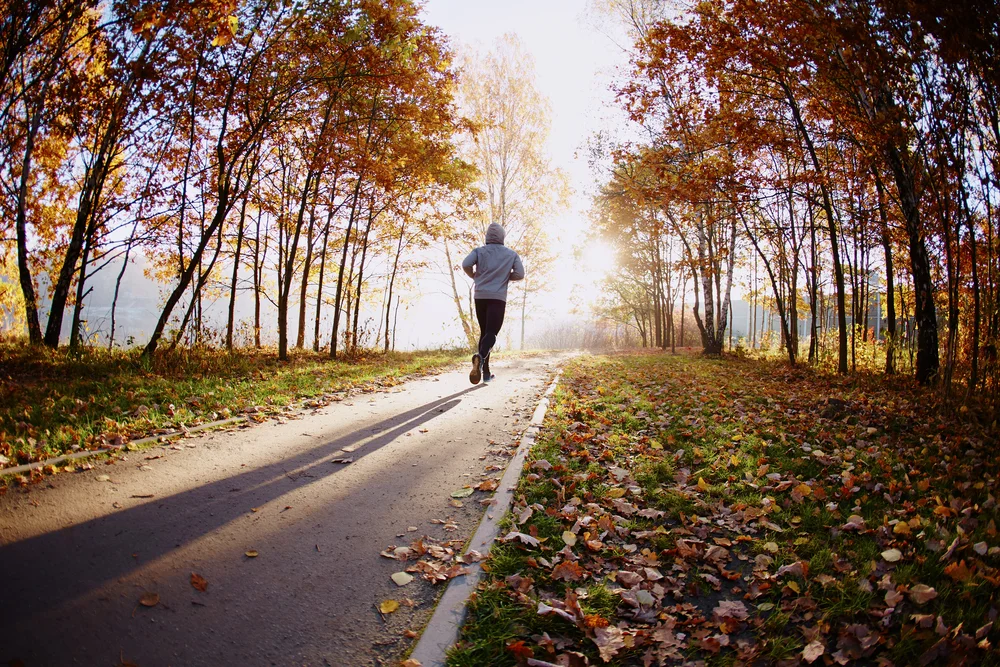 【Relying on the Teacher 依师】How do we follow the footsteps of the lineage masters 如何跟上圣者脚步