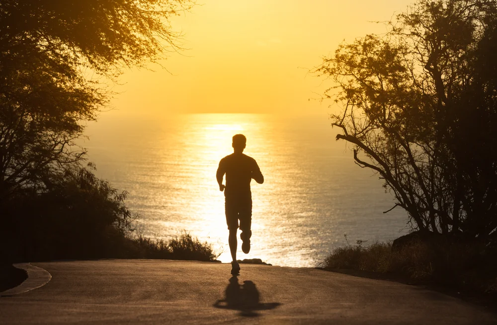 【Relying on the Teacher 依师】Developing faith is not dependent on physical distance 修信不在身的距离