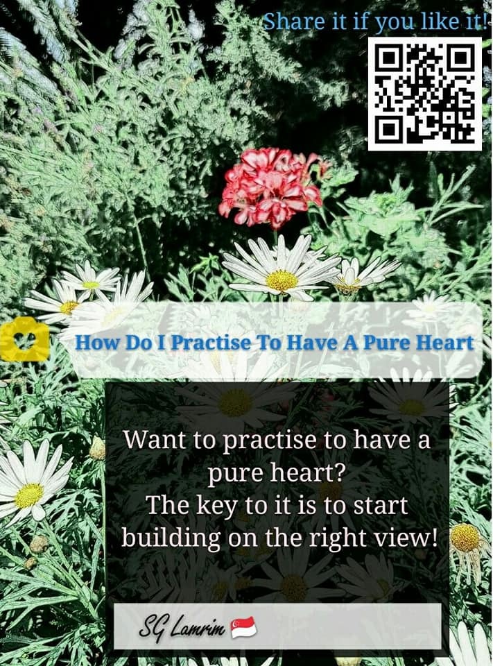 How Do I Practise To Have A Pure Heart