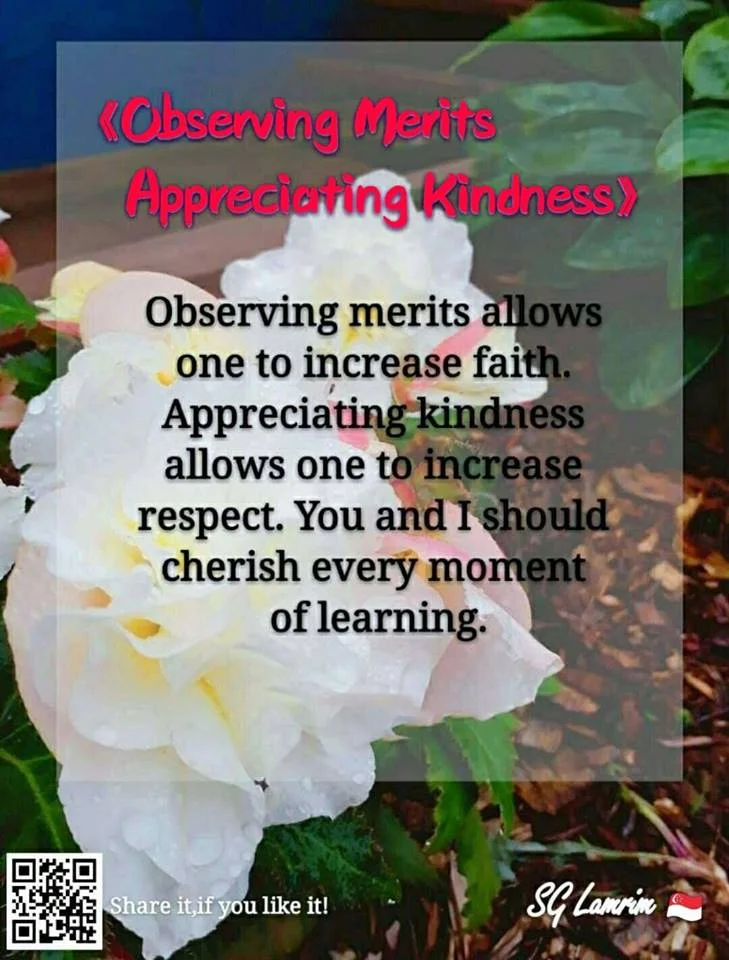 Observing Merits Appreciating Kindness