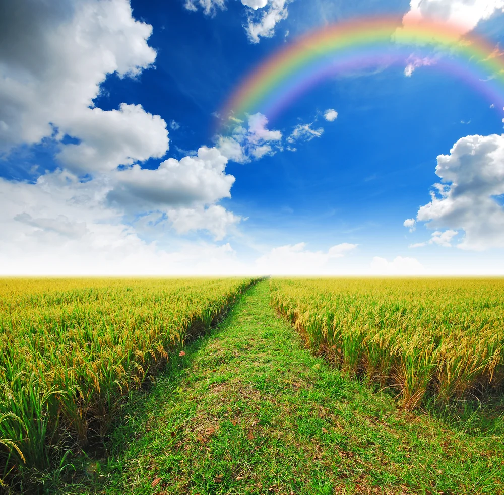 【Relying on the Teacher 依师】The virtuous teacher leads us to Buddhahood 善知识带我们到佛道