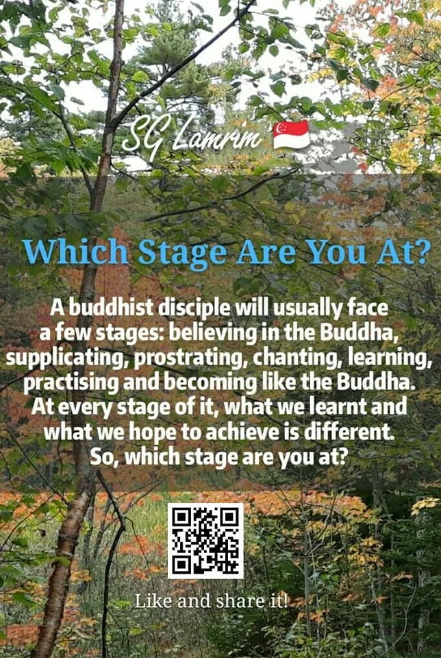 Which Stage Are You At?