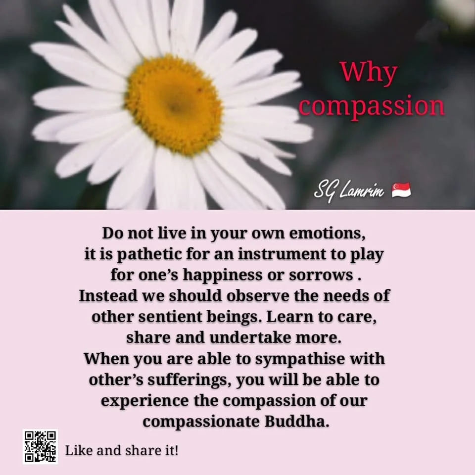 Why Compassion