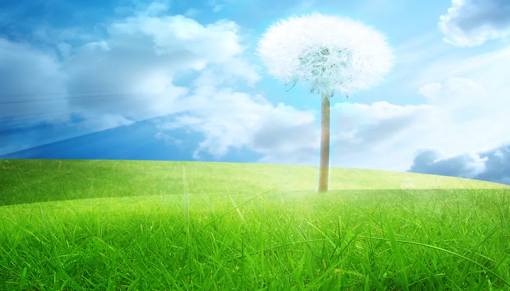【Relying on the Teacher 依师】The foundation of your deepest aspiration 究竟欲乐之根本