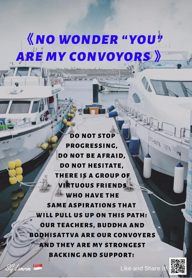 No Wonder “You” Are My Convoyors