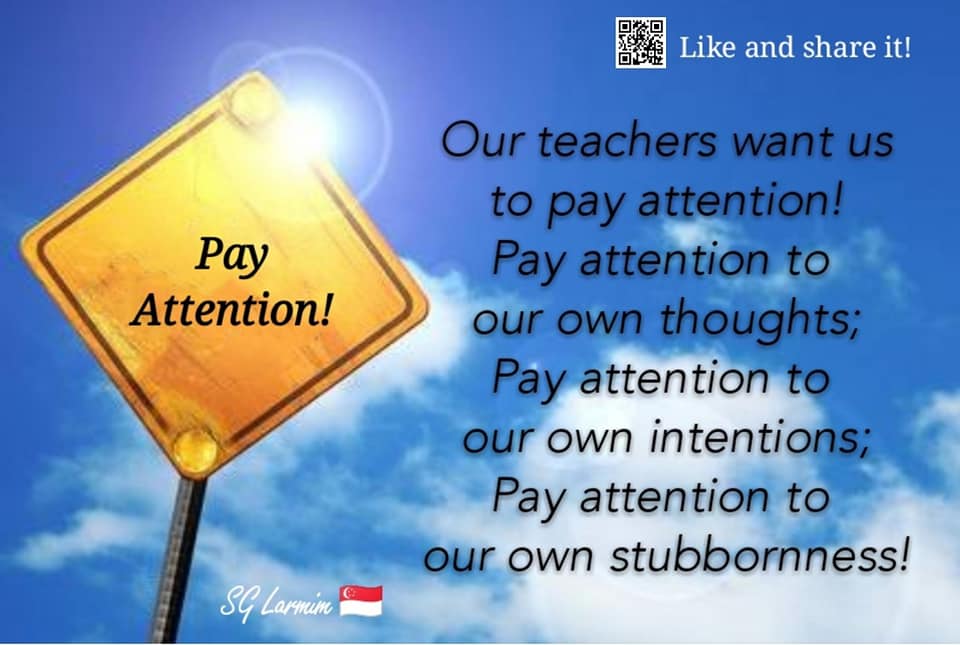 Pay Attention!