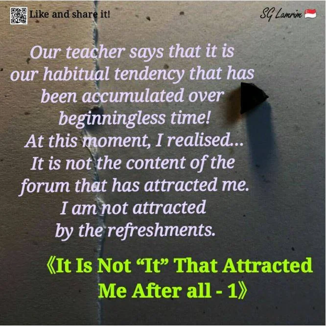 It Is Not “It” That Attracted Me After all - 1