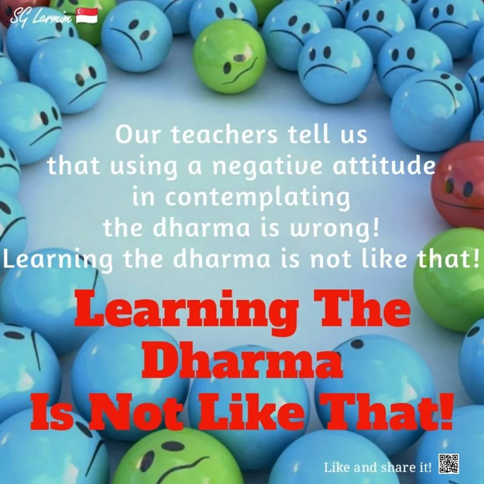 Learning The Dharma Is Not Like That！
