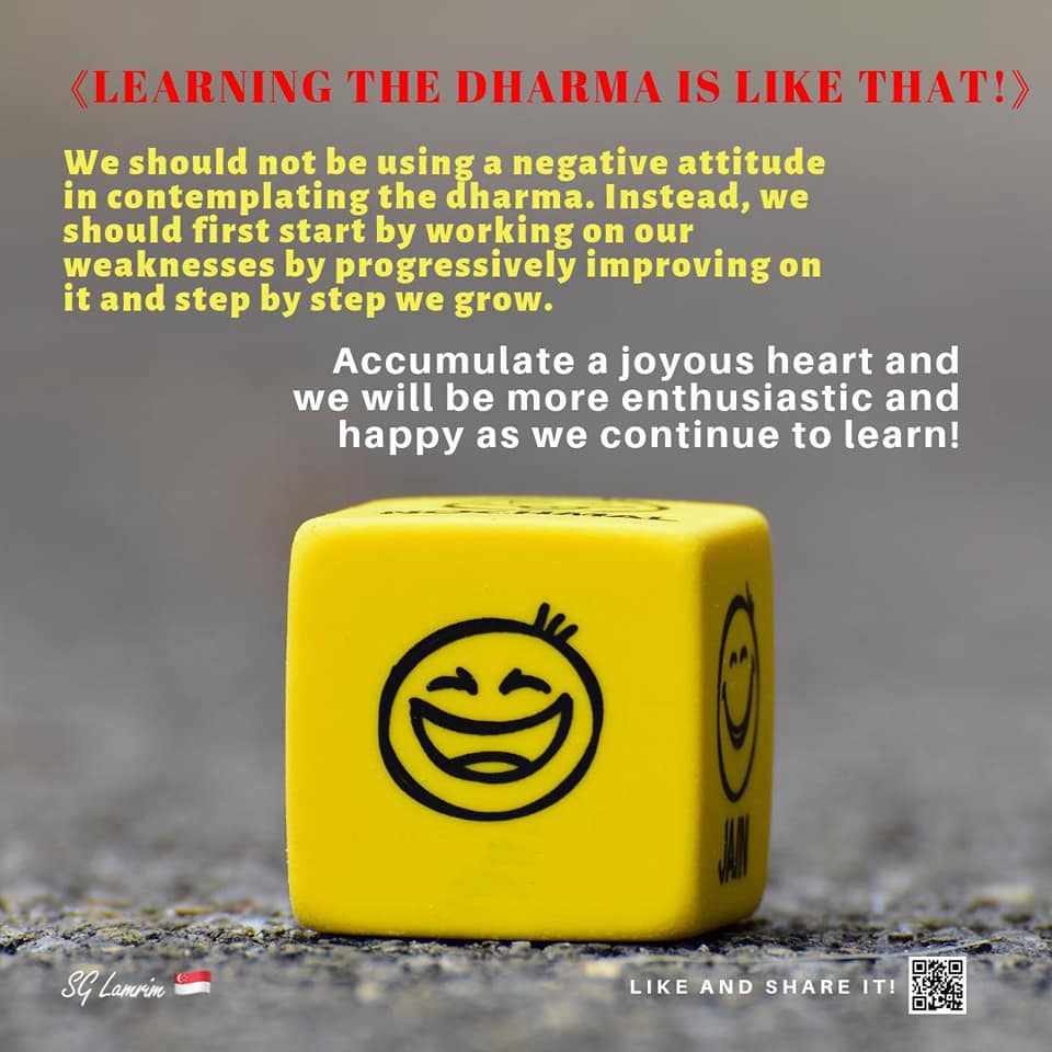 Learning The Dharma Is Like That!