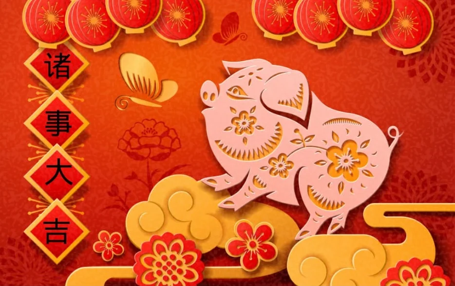 WhatsApp Image 2019-02-07 at 16.34.31.jpeg