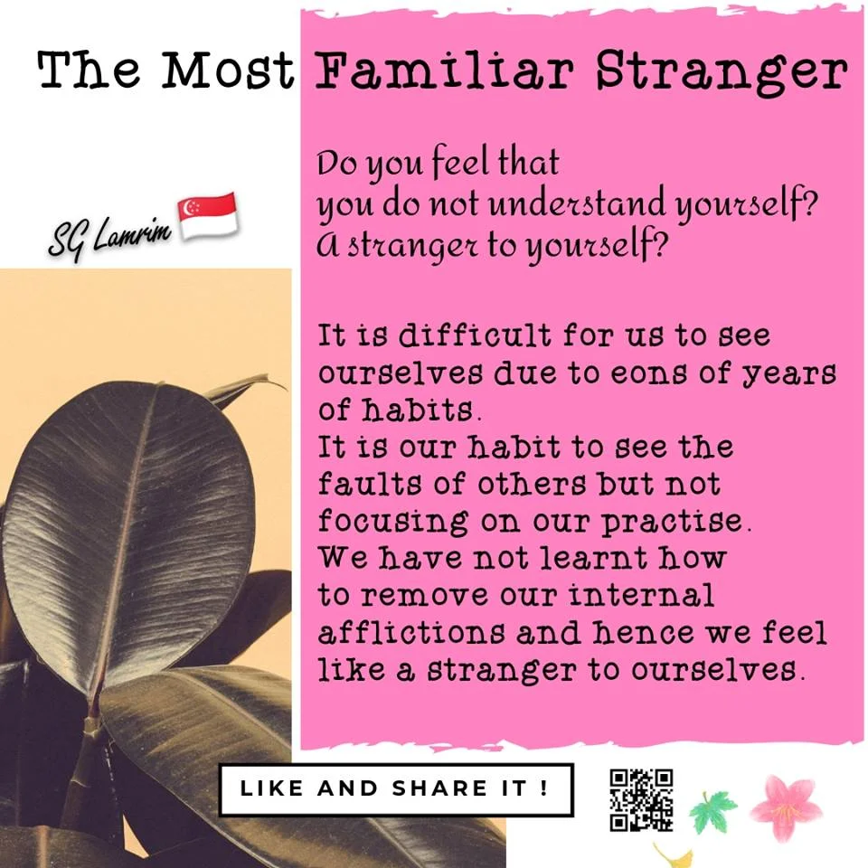 The Most Familiar Stranger