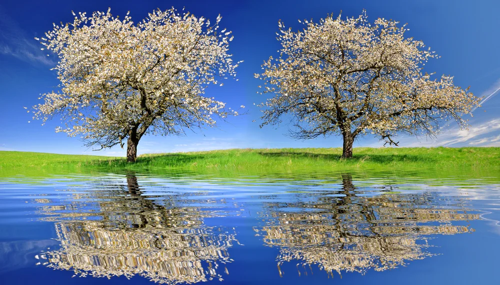 【 Faults of not relying on the Teacher  未依过患】The characteristics of Dharma 法的特质