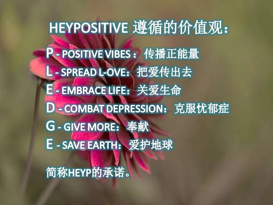 P - POSITIVE VIBES :传播正.jpg