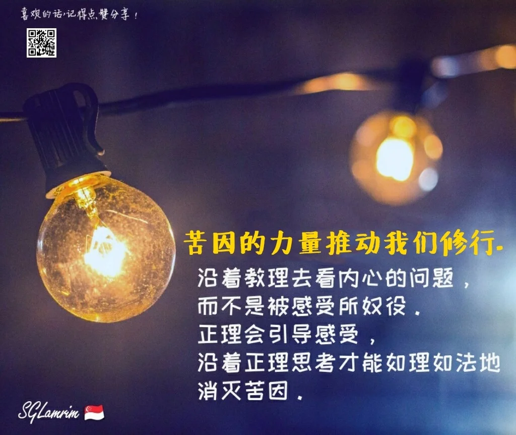 苦因的力量推动我们修行