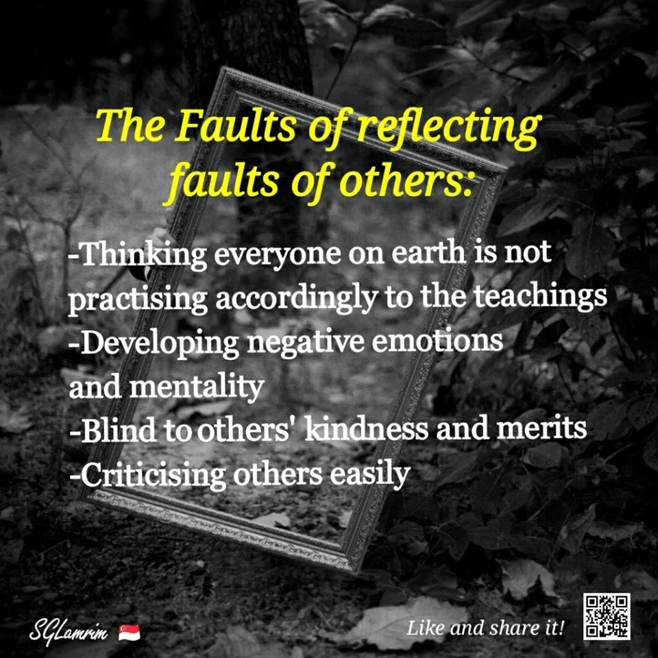 The Faults of reflecting faults of others