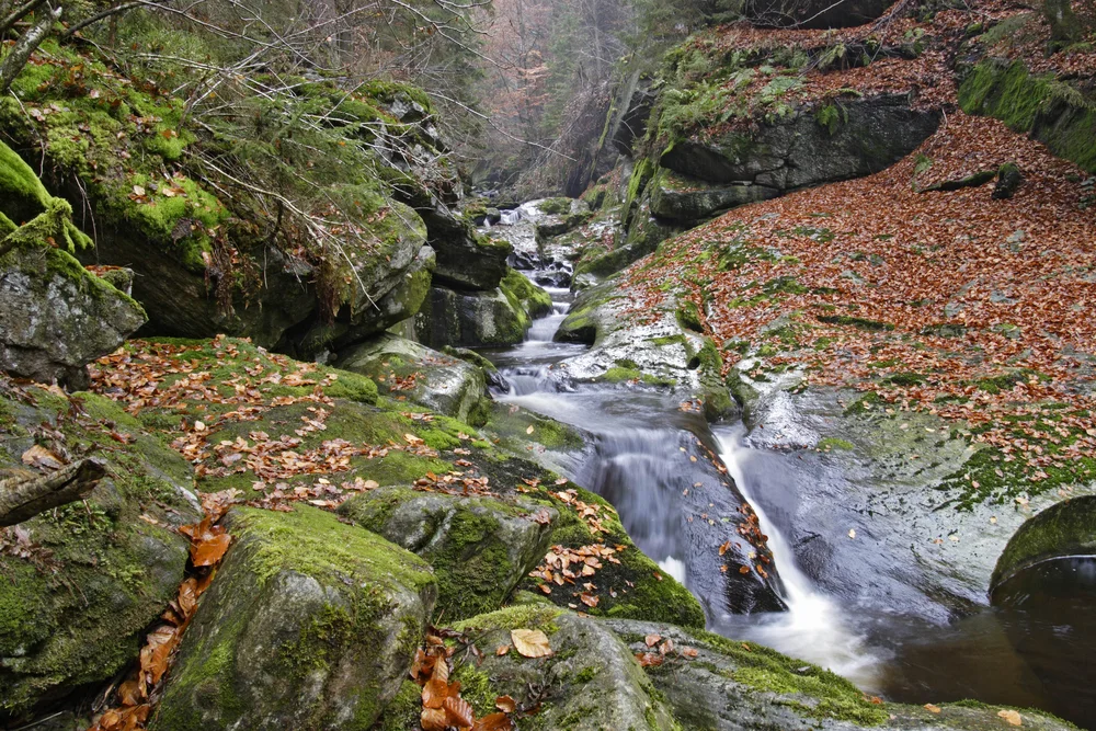 Venerable Jing Yuan: Those Who Hurt You  净远法师: 伤害你的人