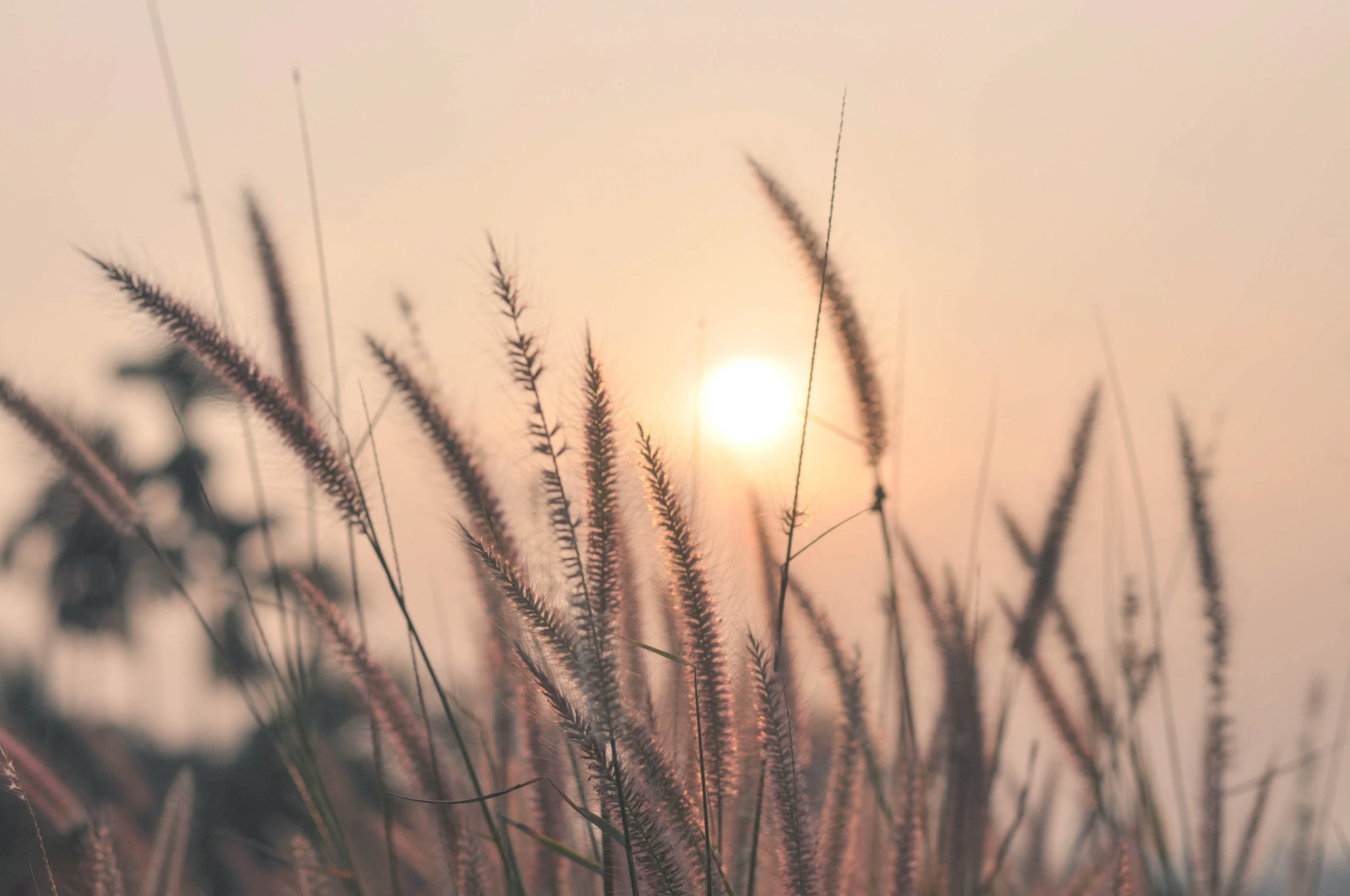 Venerable Jing Yuan: Target of Your Enemies  净远法师: 敌人的箭靶