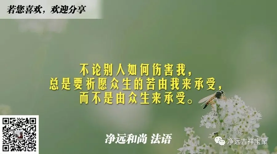 苦由我承受.jpg