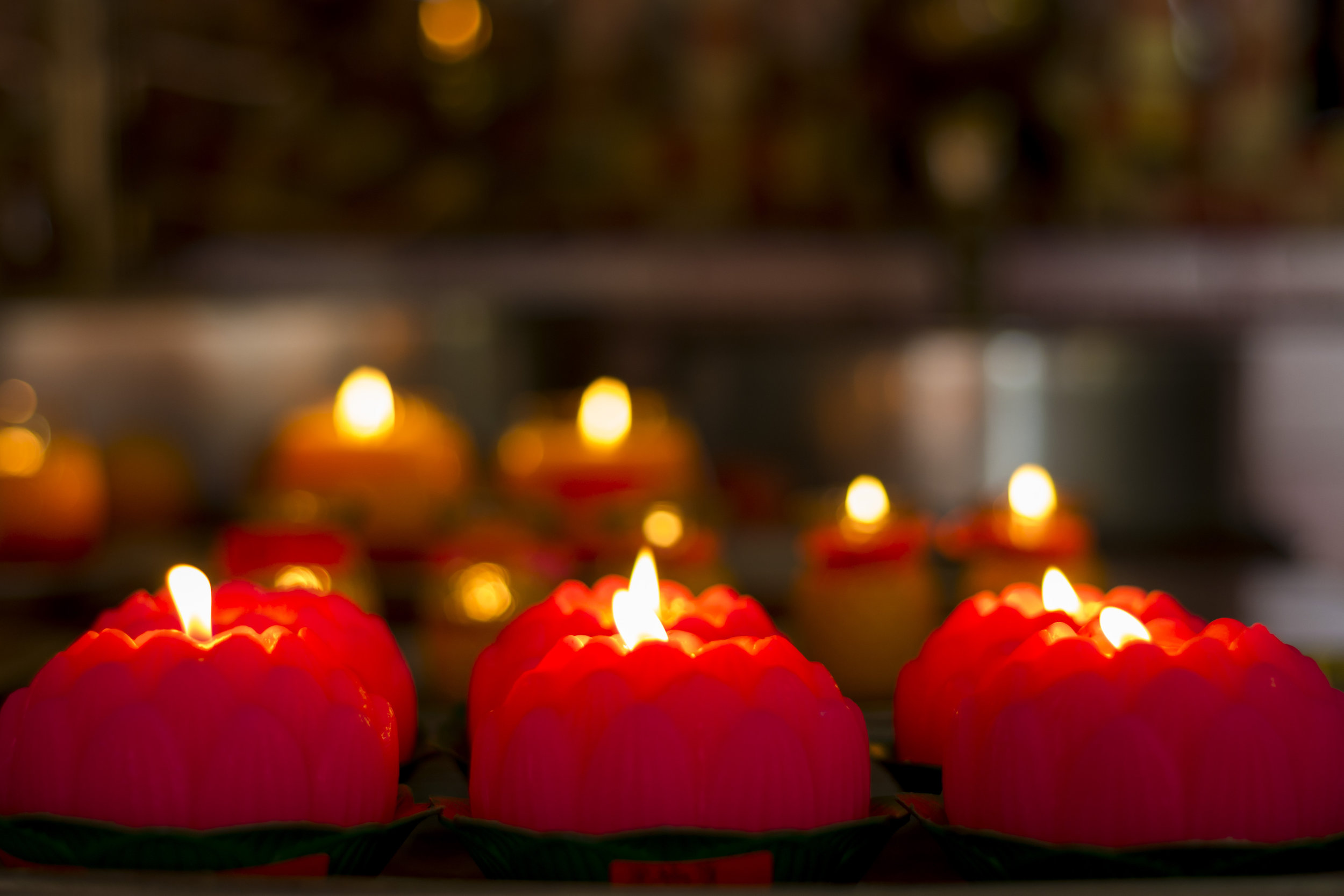 Venerable Jing Yuan: Make Aspirations and Dedicate Merits 净远法师: 发愿与回向