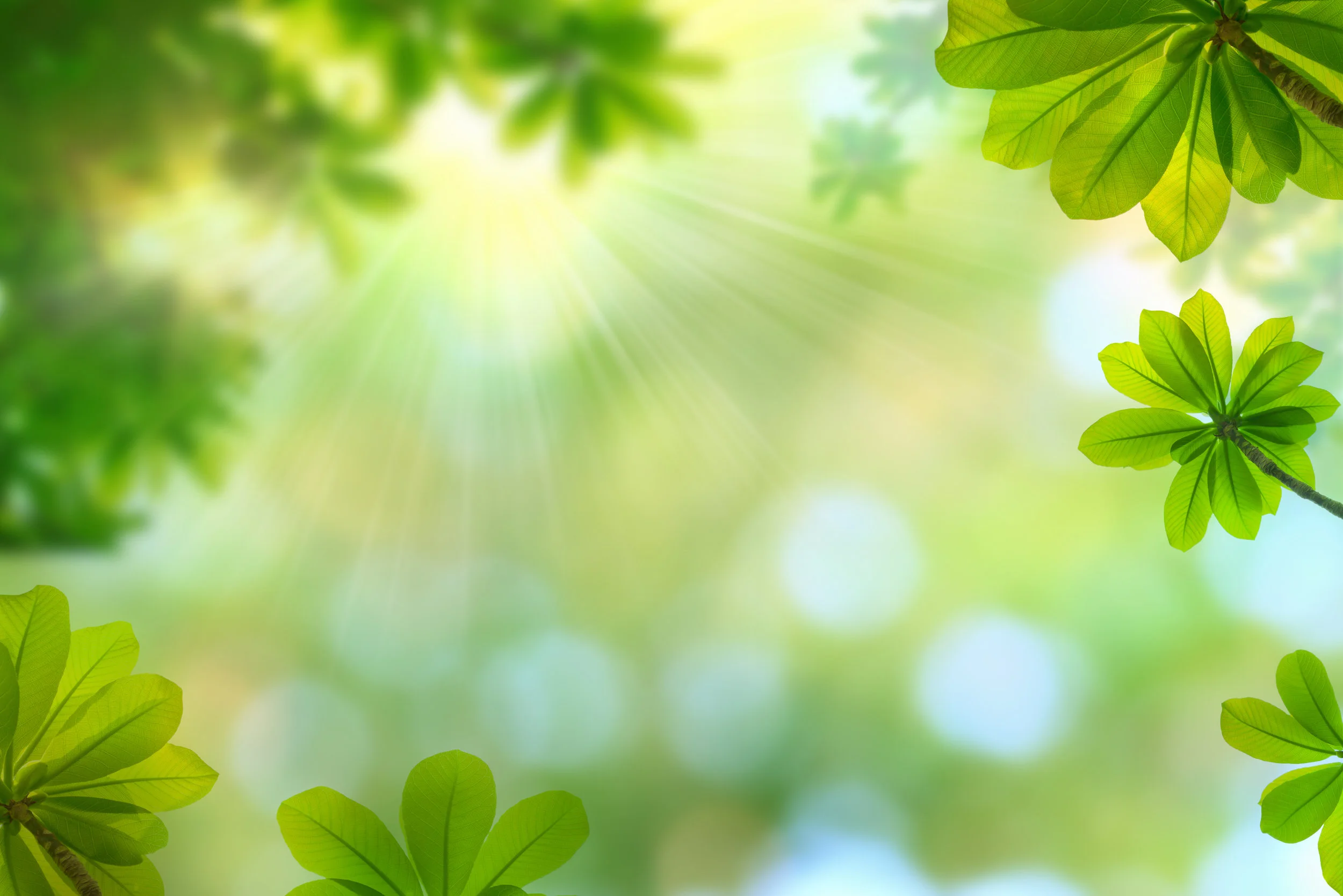 Venerable Jing Yuan: Having No Riches At Home  净远法师: 如果你家没有财富