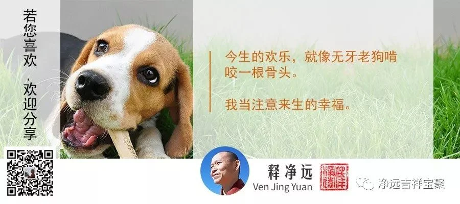 我当注意来生的幸福.jpg
