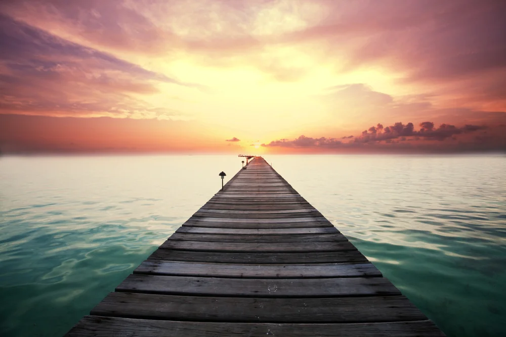 Venerable Jing Yuan: Mindful for the Happiness of My Future Lives 净远法师: 我当注意来生的幸福