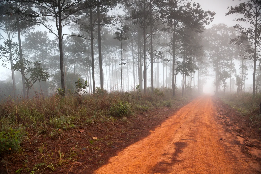 SGLamrim 17 Aug 2019